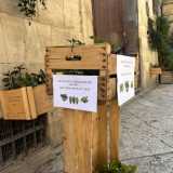 Notiamo subito la cassetta di legno protagonista della storia
